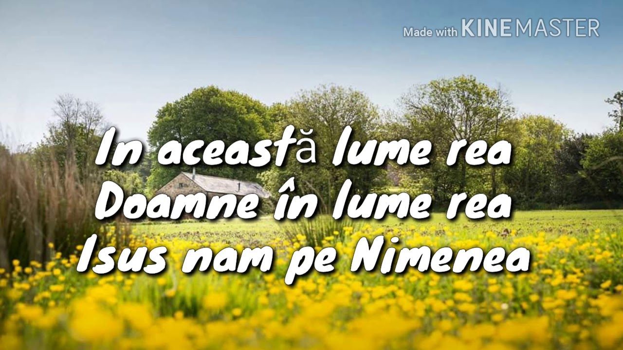 NEGATIV '' O DOAMNE BUN ' Banat (Versuri 2018)