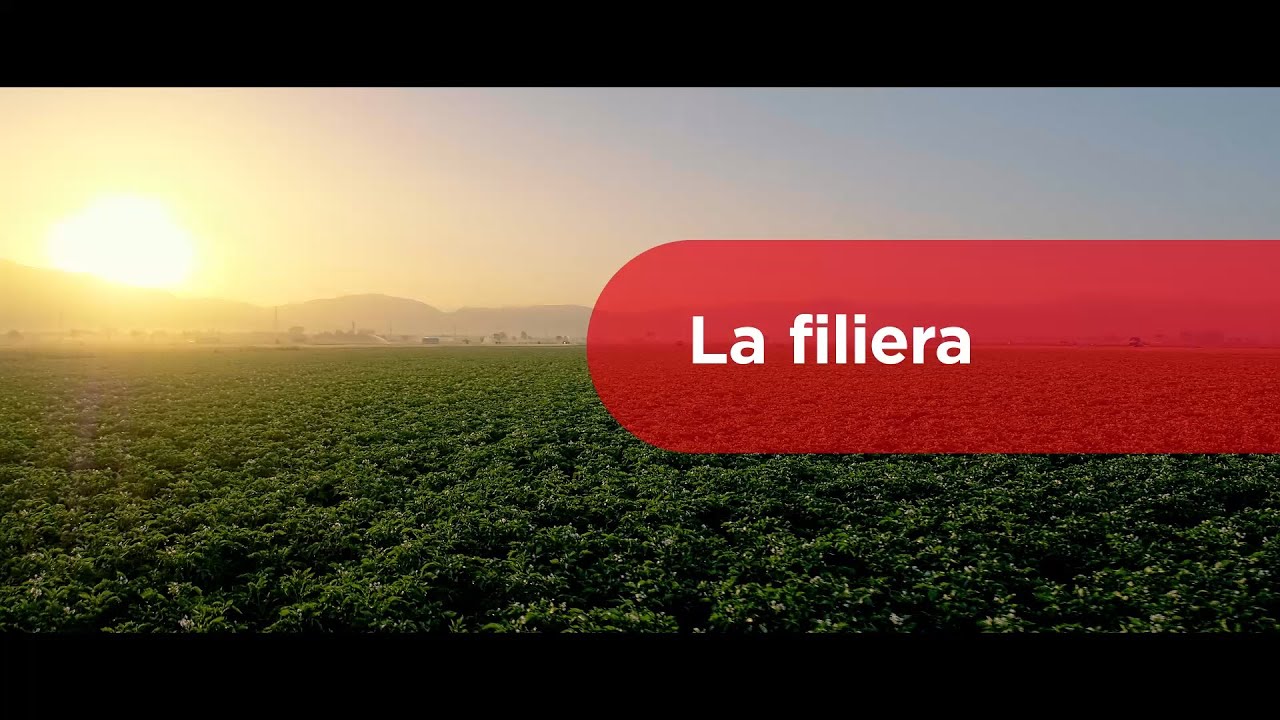 Pizzoli &ndash; La filiera delle patate da industria
