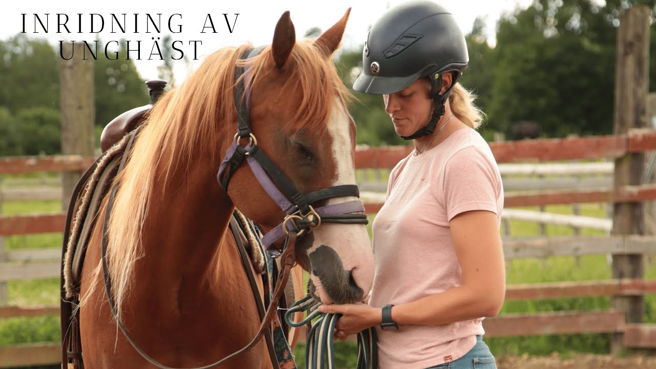 ✨Inridning av unghäst✨