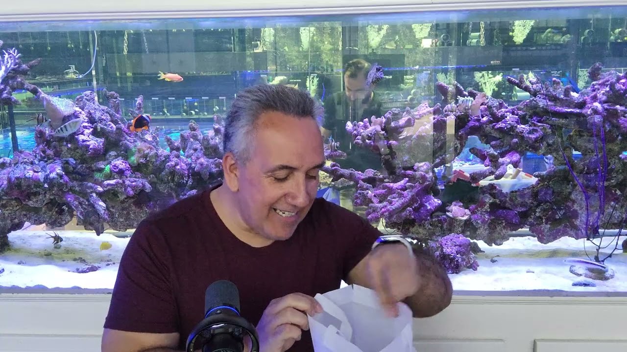 Набор для фрагментации кораллов, который должен попробовать каждый владелец рифового аквариума.