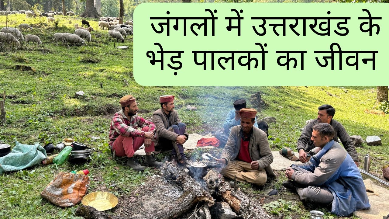 Life of Gaddi Shepherds in Uttarakhand | उत्तराखंड के जंगलों में भेड़-पालकों का जीवन| The Young Monk