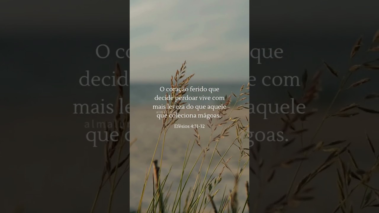 Motiva&ccedil;&atilde;oDi&aacute;ria #InspireSe #MensagensPositivas #For&ccedil;aInterior #SejaMelhor #AutoCuidado