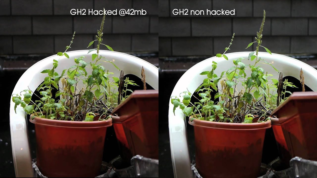 Panasonic GH2 hacked @42mb vs GH2 non hacked test.  See the difference!