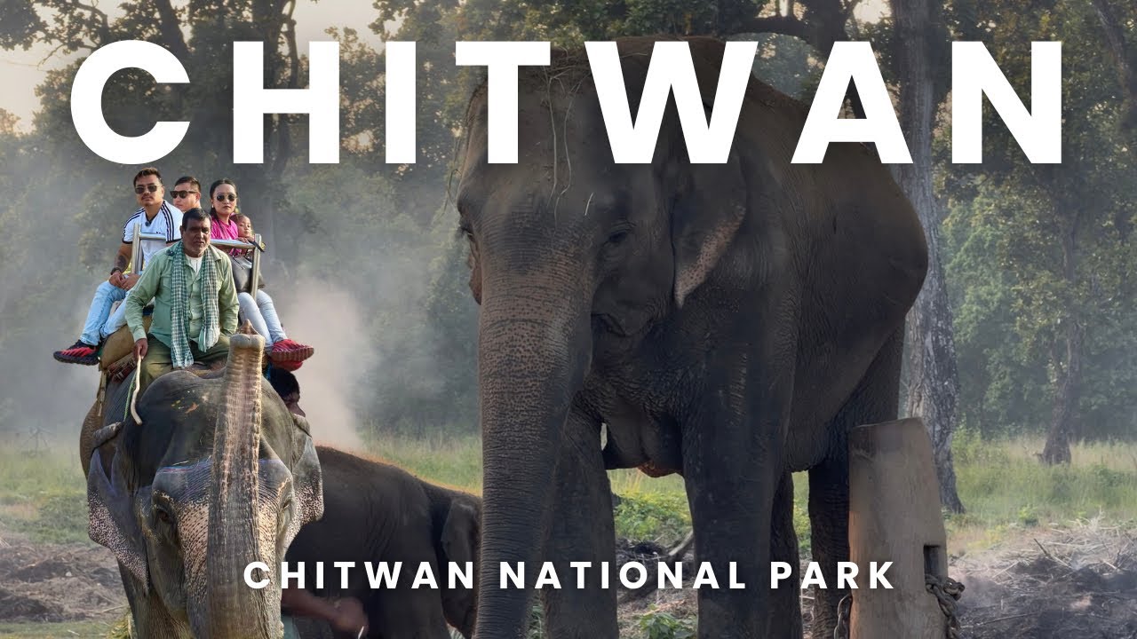 Chitwan | Elephant Riding In Chitwan Sauraha | In The Search Of Rhino | Explore Nepal |