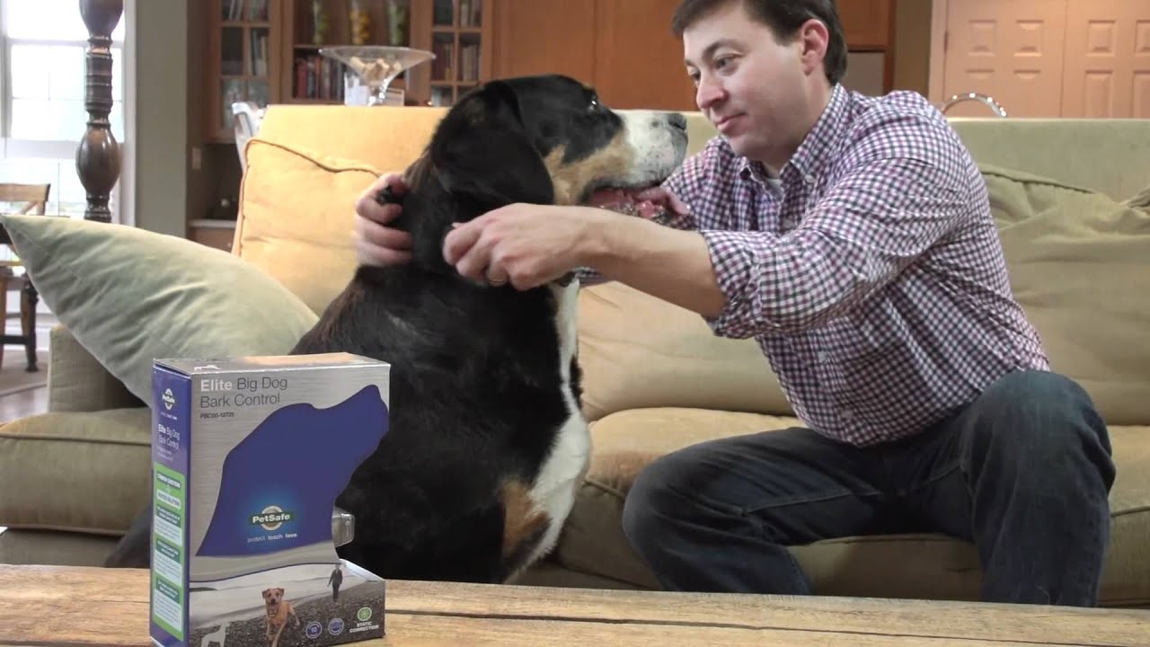 PetSafe Elite Big Dog Bark Control