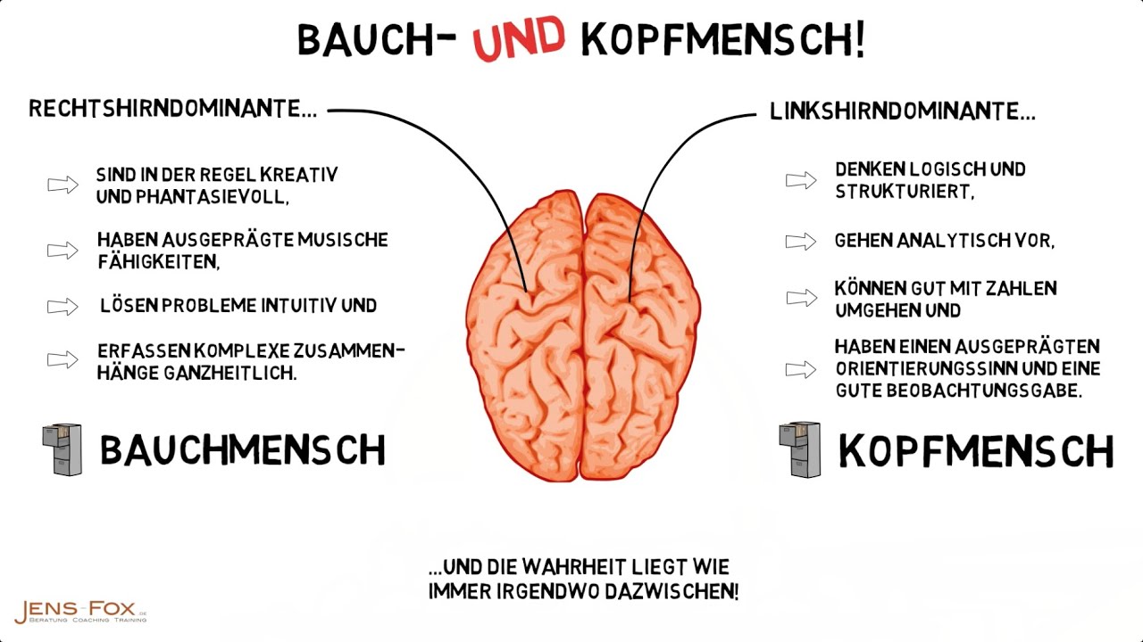 Bauch- und Kopfmenschen - jens-fox.de