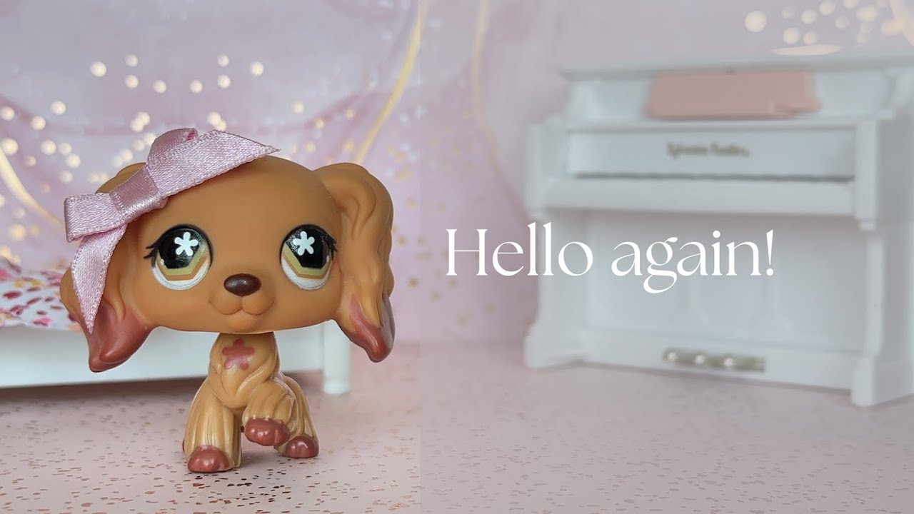 🌸 Hello again! 🌸