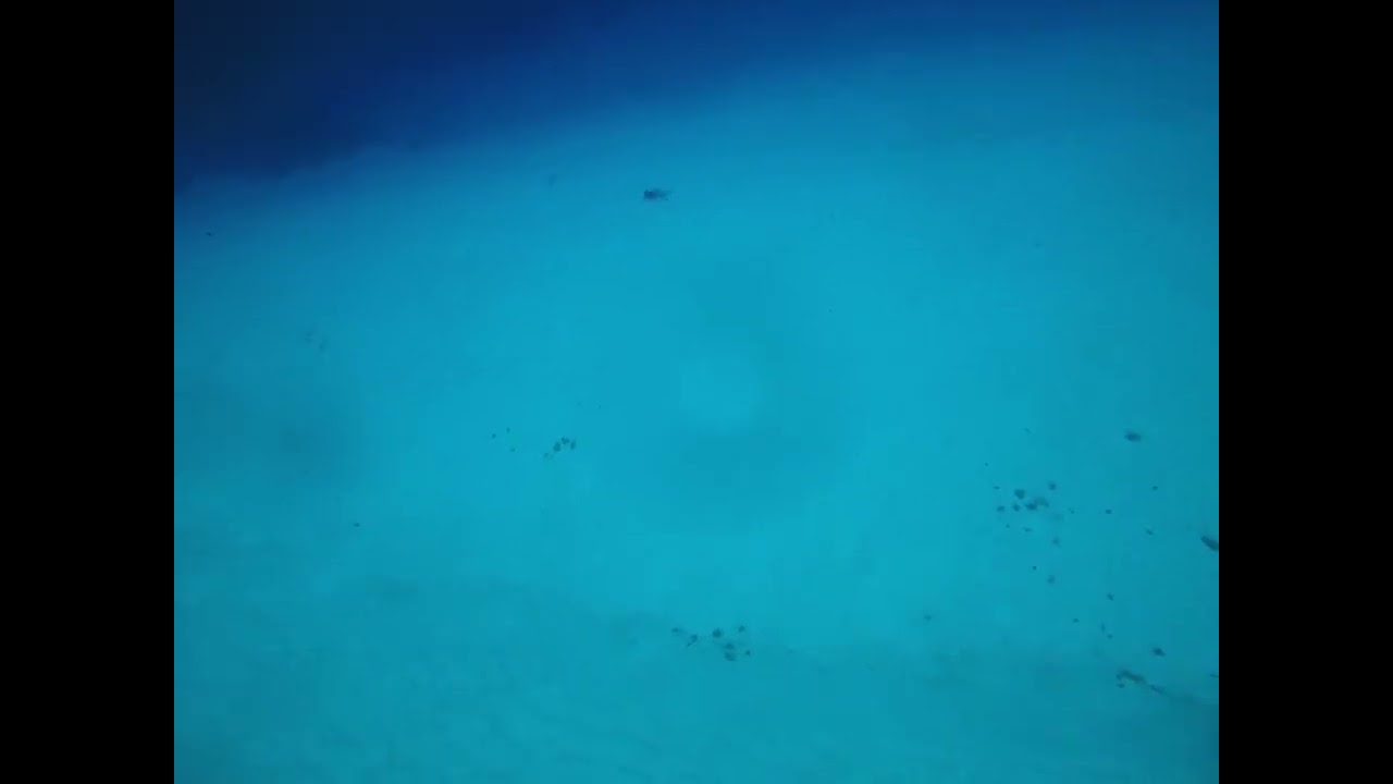 Stingray Rodeo Cozumel 2 2026