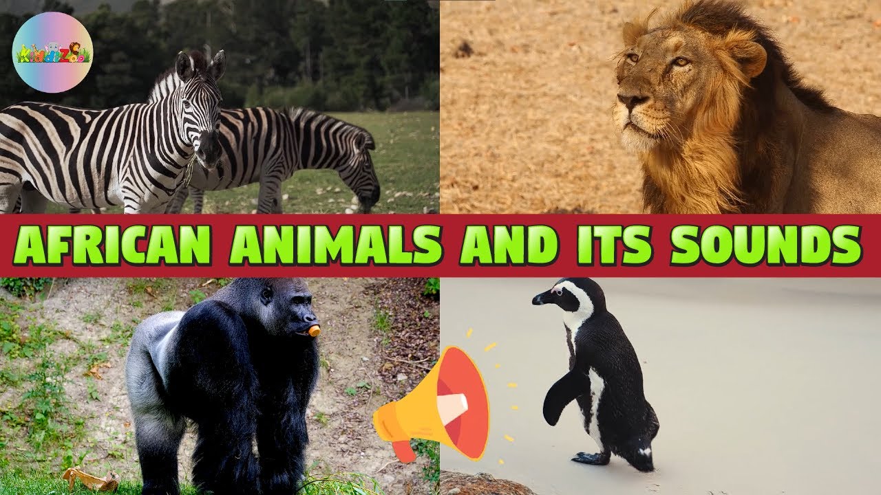African Animals Names & Sounds For Children
