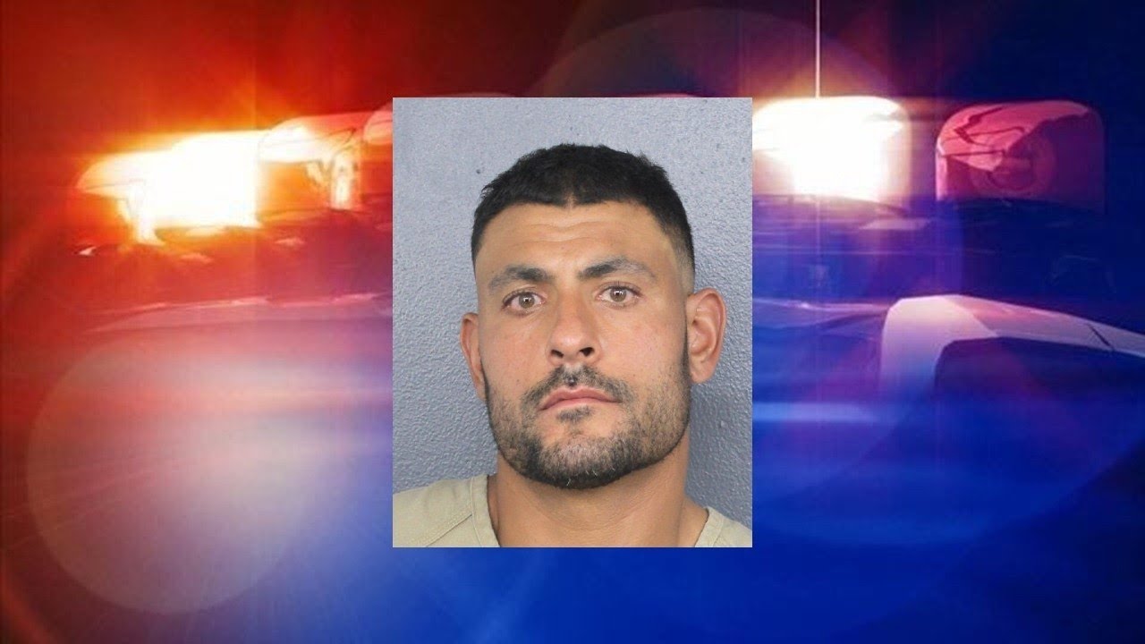 Dolphins outside LB coach arrested for domestic violence