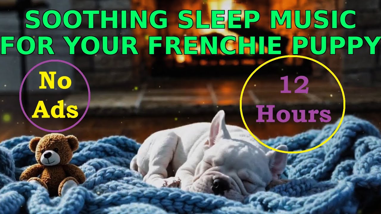 12 Hours of FRENCHIE Puppy Sleep Music 🐶 | Anti-Anxiety Fireplace Ambience | No Ads Deep Relaxation
