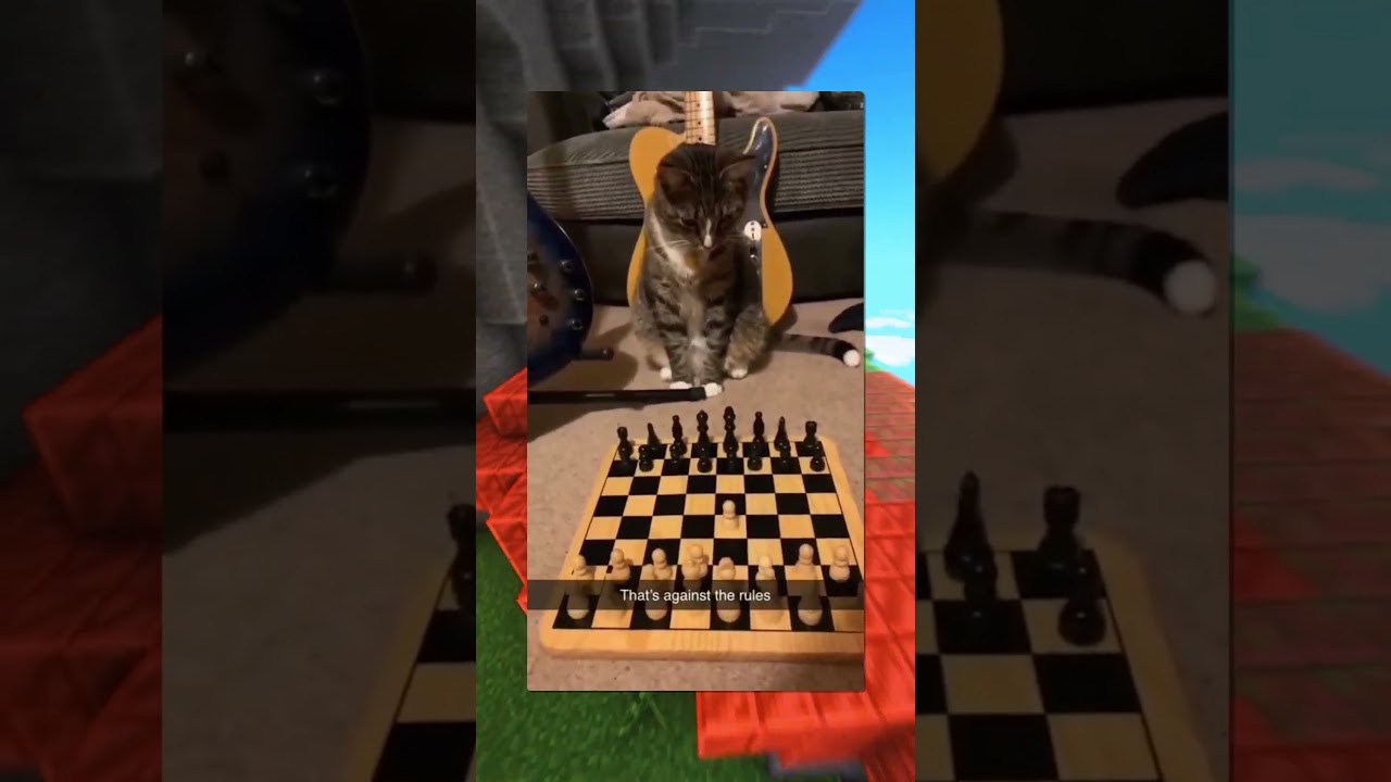 That was NOT a legal move