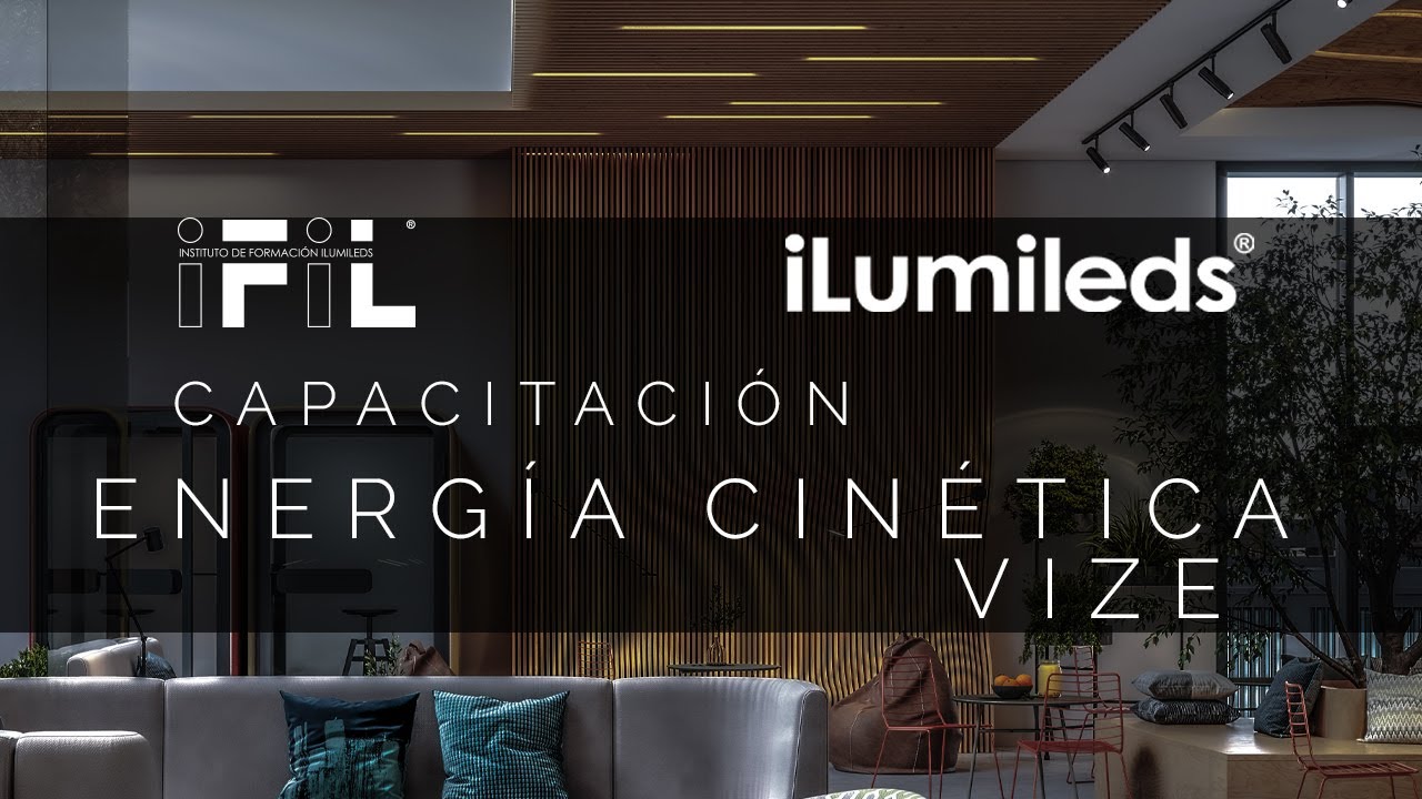 Capacitación VIZE