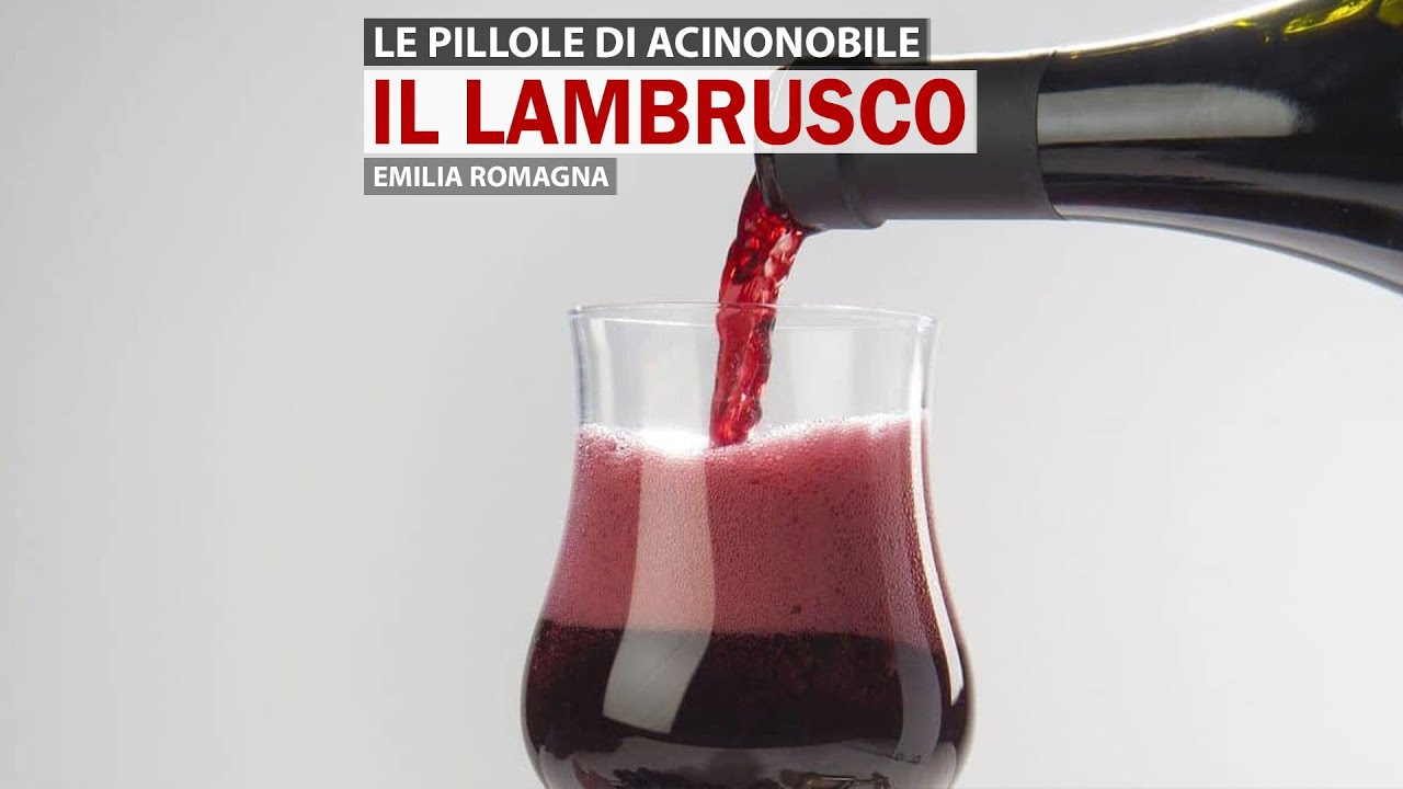 Il Lambrusco | Storia, tipologie, sentori e abbinamenti