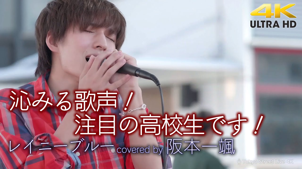 【 歌うま 】沁みる歌声！注目の高校生です！　レイニーブルー / 徳永英明（ covered by 阪本一颯 ）4K映像