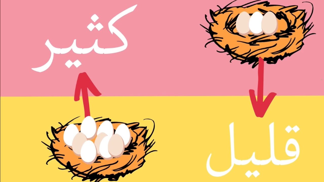 سلسلة تعليم المفاهيم الحلقة السادسة (كثير ، قليل) للاطفال |عفاف كي جي | AFAFKG