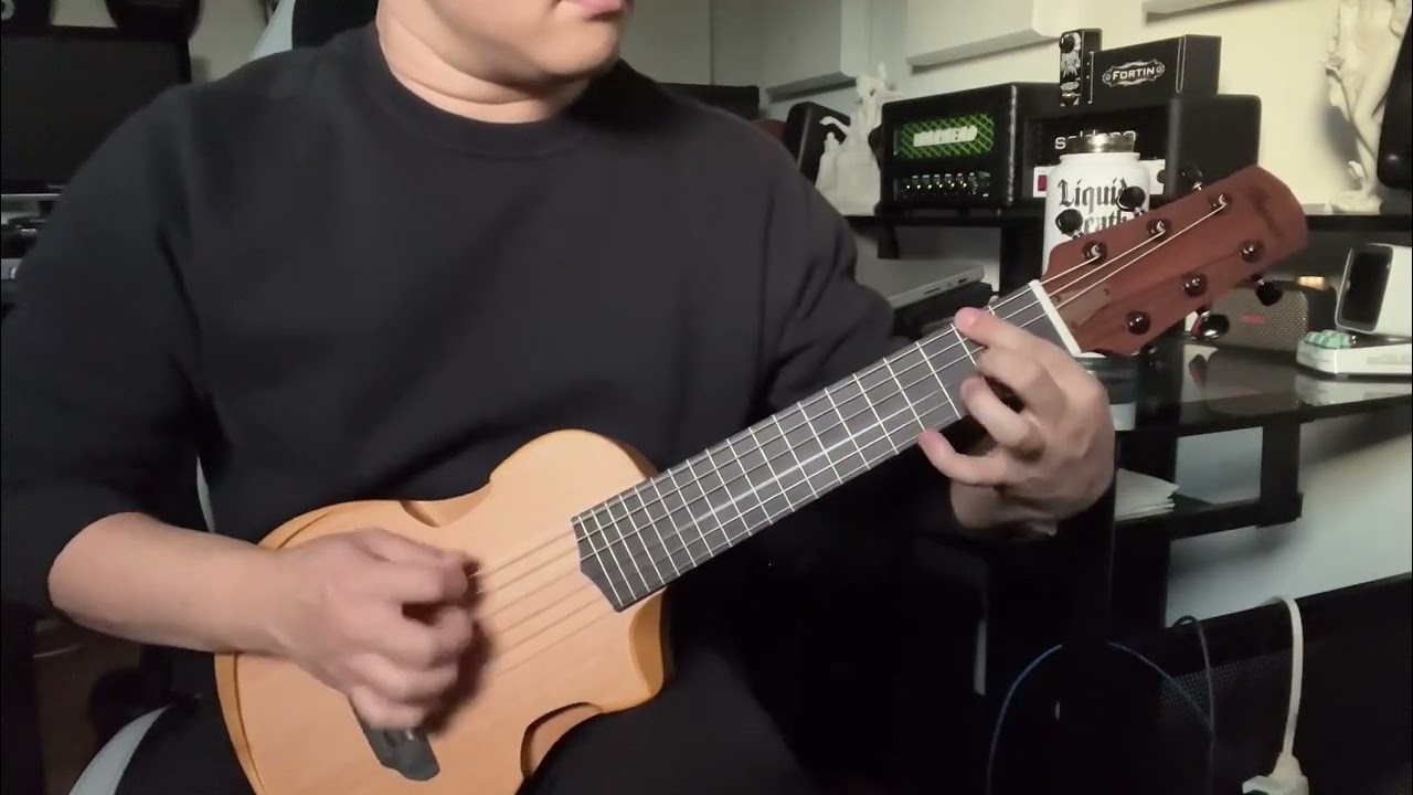 Ibanez AUP10NOPN
