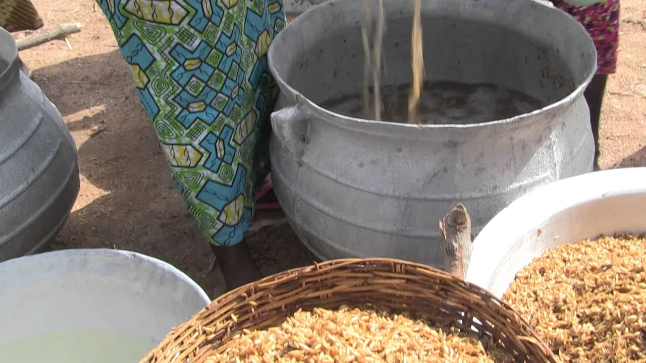 Earning an income from rice processing