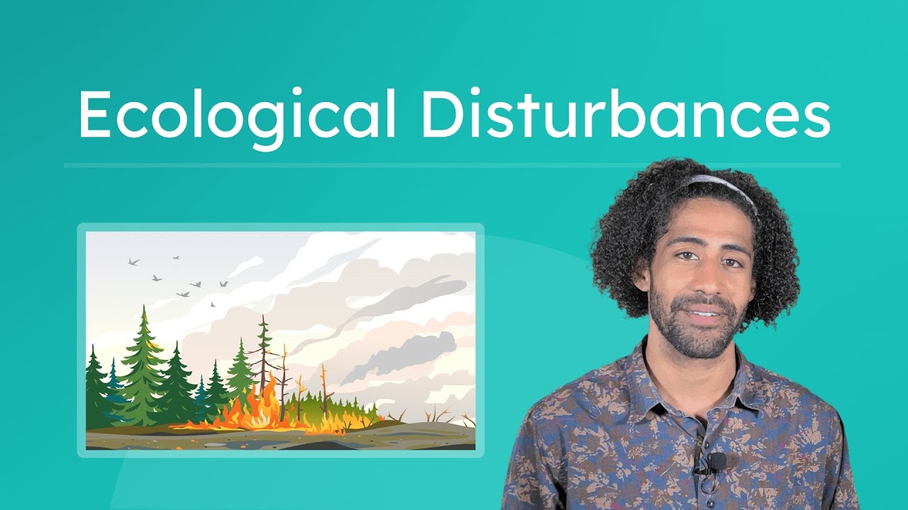 Ecological Disturbances - How Ecosystems Are Disrupted