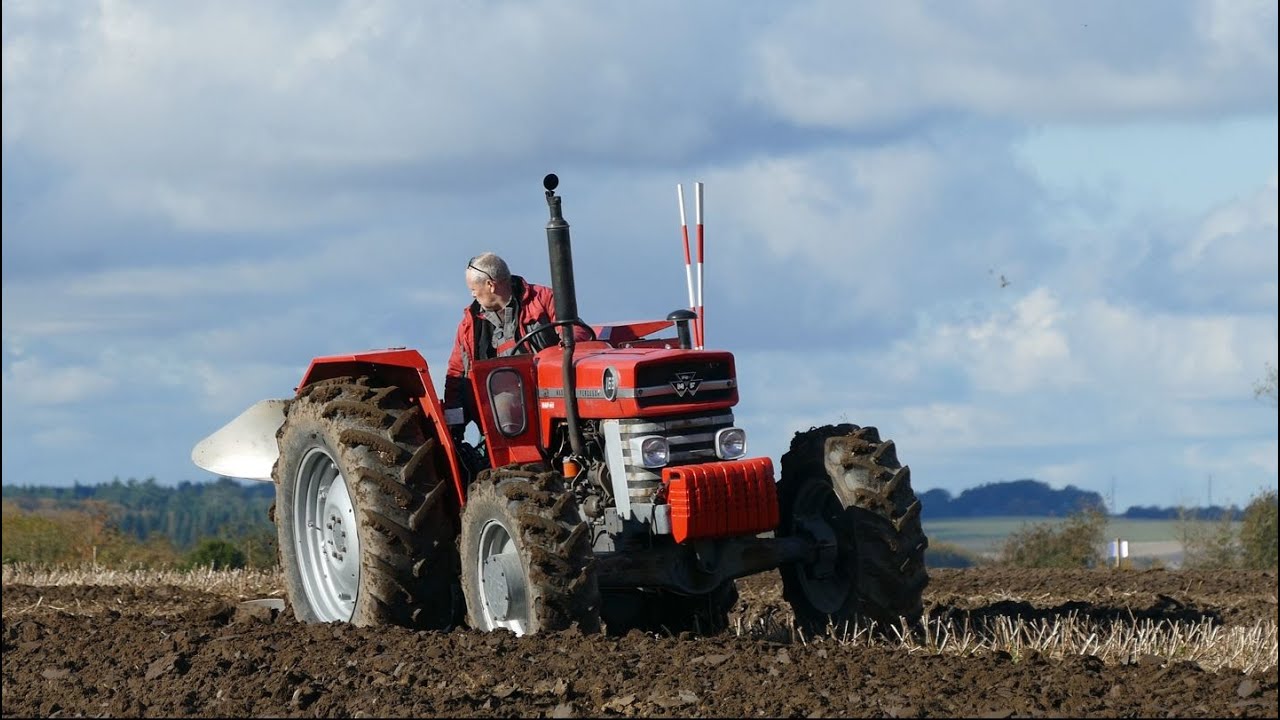 MASSEY FERGUSON At A Plowing Match - Massey Ferguson 35, 65, 135, 168, 178
