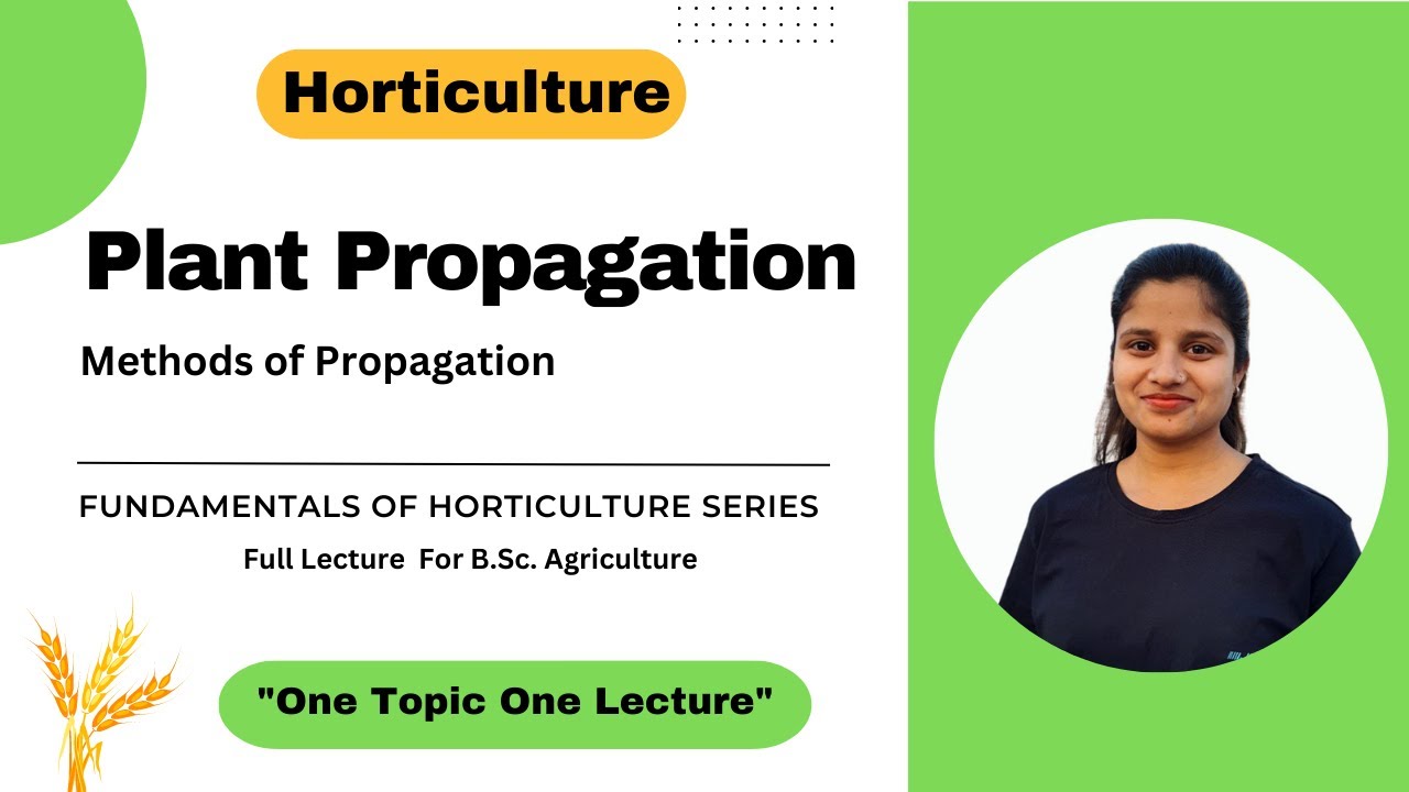 Horticulture || Plant propagation / Methods of plant propagation/ Sexual and asexual propagation