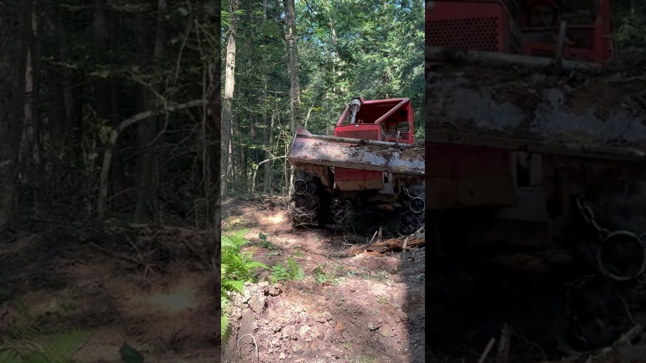 Little smoke tuggin some hardwood 