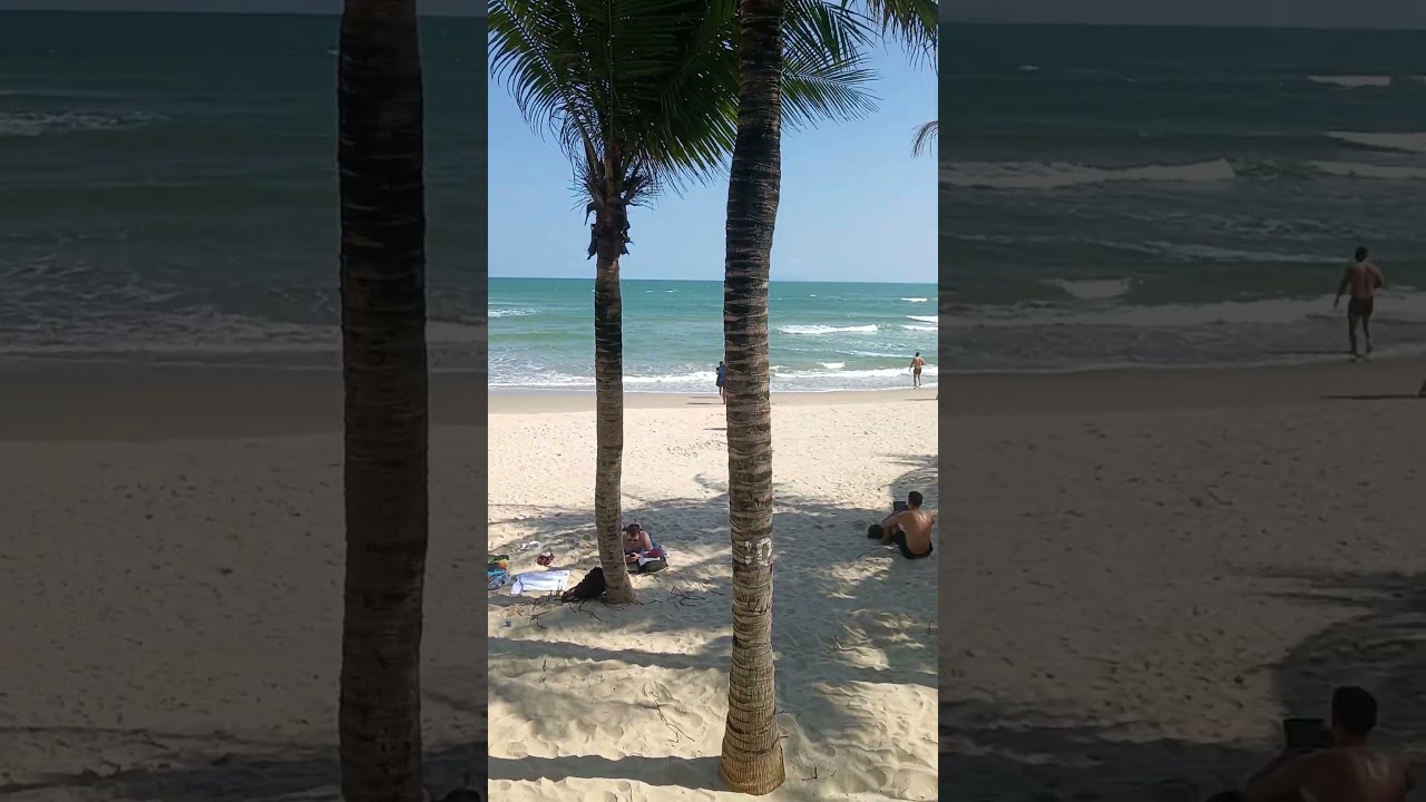 Danang Beach 15.01.2026   Da Nang  Beautiful weather