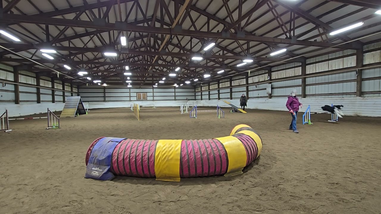 Arlo Agility Class (2) 02-23-2026