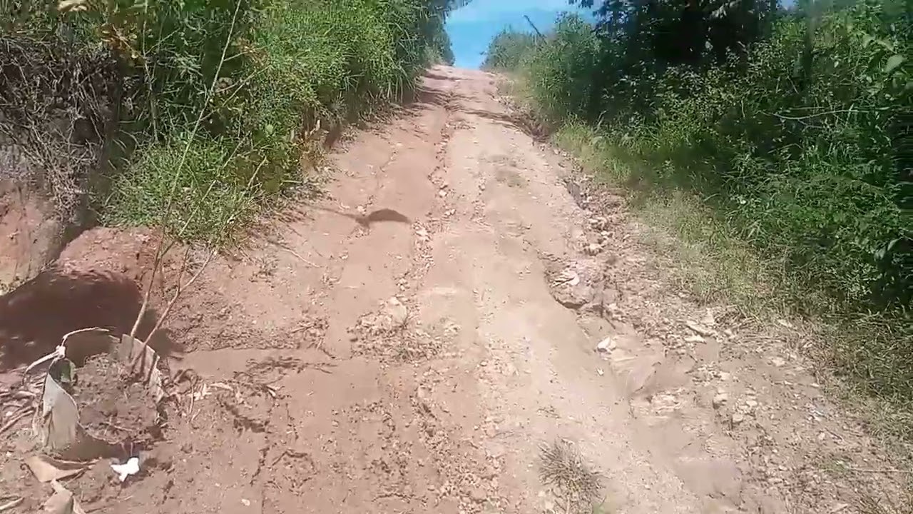 DOMINGO NA ROÇA MAIS UM DIA ABENÇOADO 🐎🐎 🐐🐐🐐 