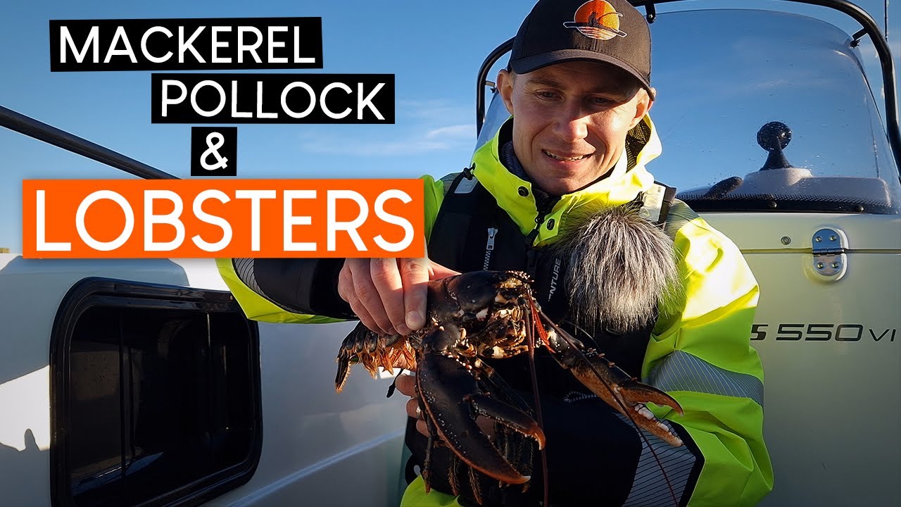 Fishing for mackerel, pollock and LOBSTERS!