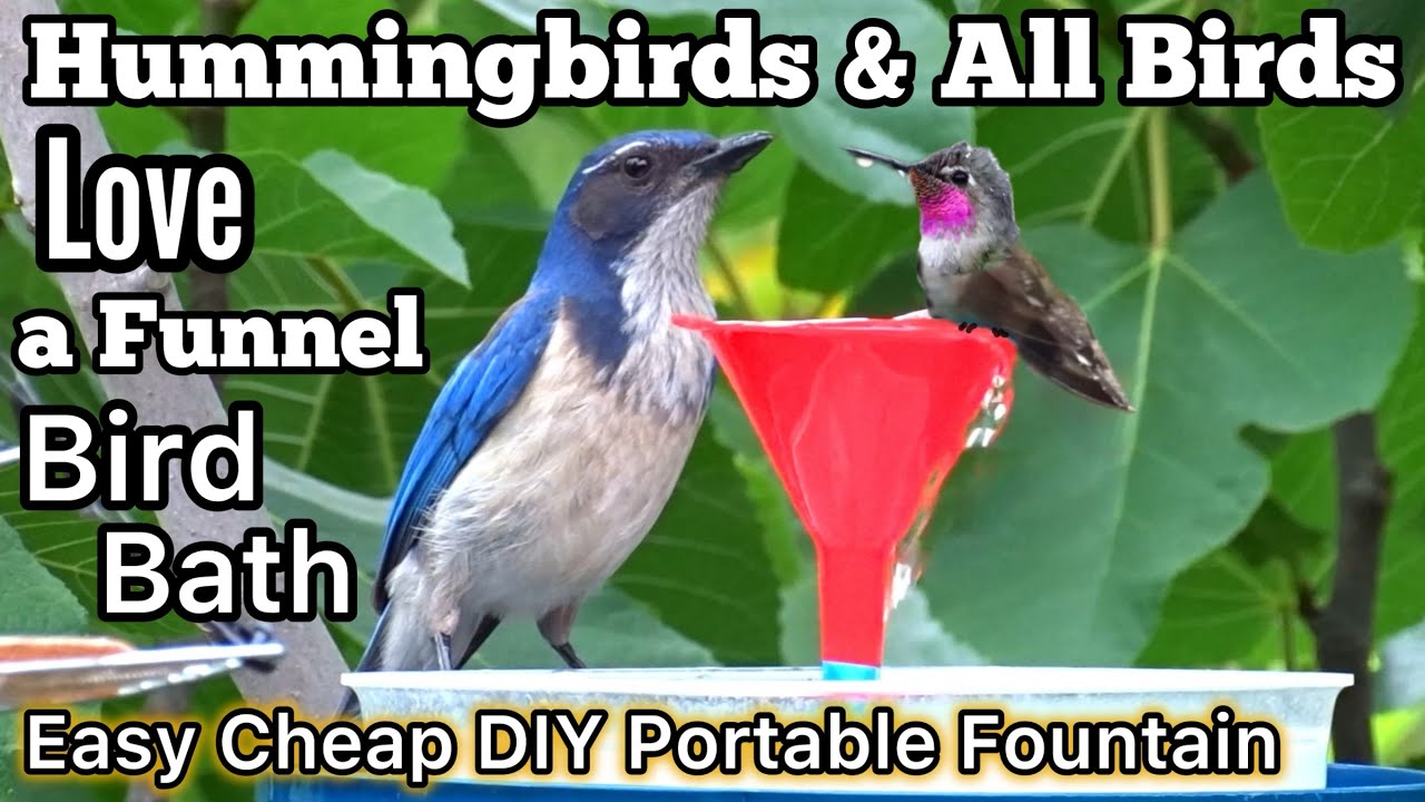 How To Make Hummingbird ENDLESS Water Fountain *NO Sun Power* ALL Birds LOVE Easy or Solar Powered