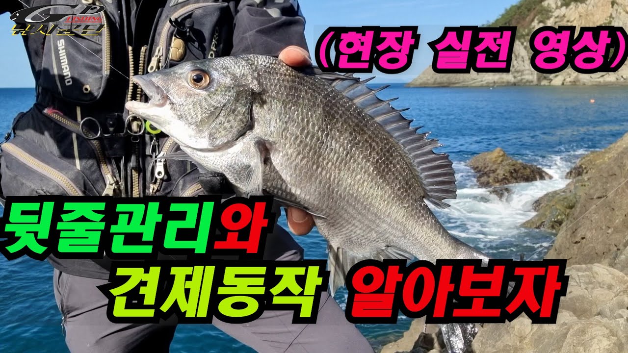 뒷줄 관리와  뒷줄견제란??  #뒷줄관리 #뒷줄견제 # 여수감성돔 실전영상