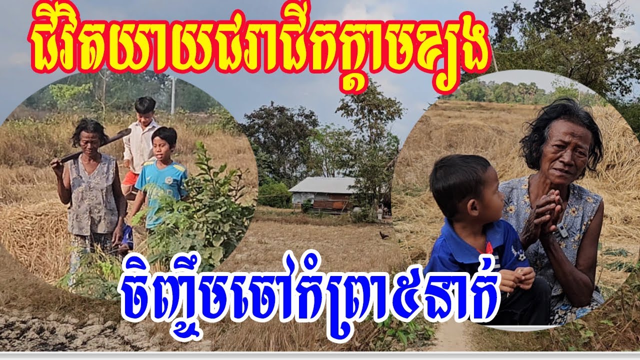 ជីវិតយាយជរាជីកក្តាមខ្យងចិញ្ចឹមចៅកំព្រា៥នាក់