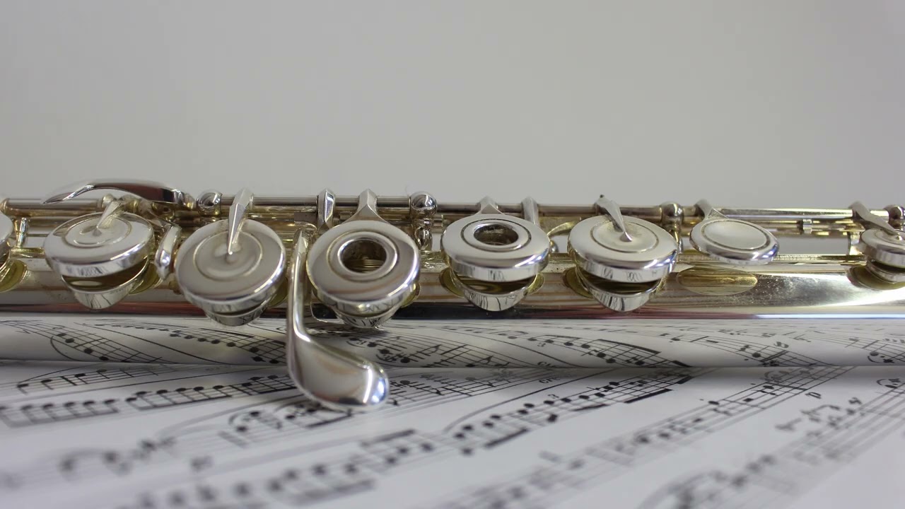 Woodwinds Movement | Royalty Free Music