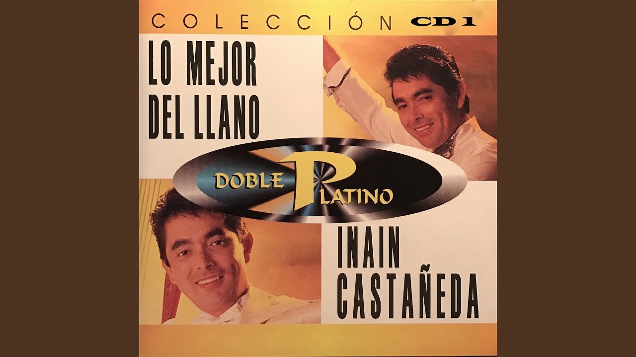 Alcaraván Compañero