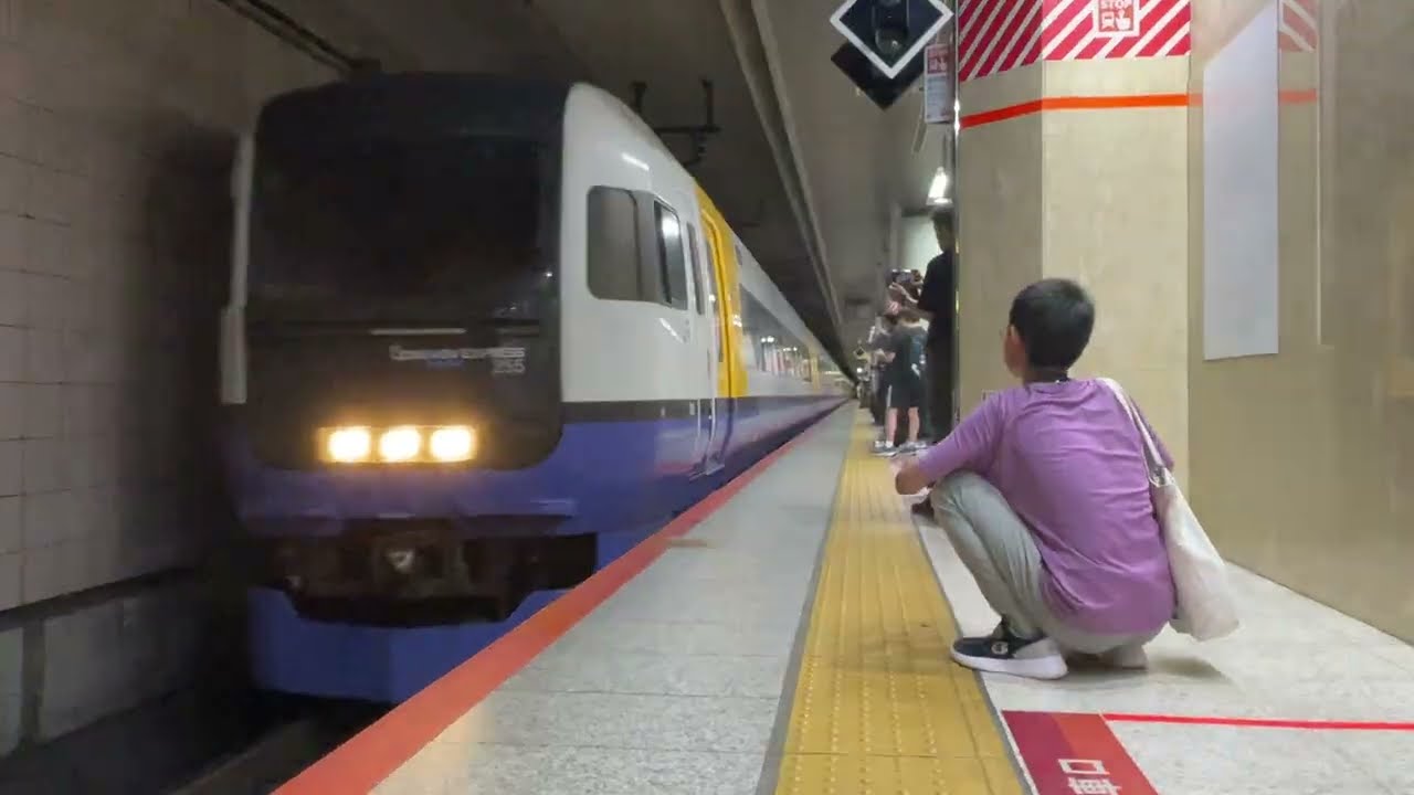 2025（令和7）年8月11日（月）　255系　臨時特急わかしお89号・新宿わかしお2号　乗り納め記録