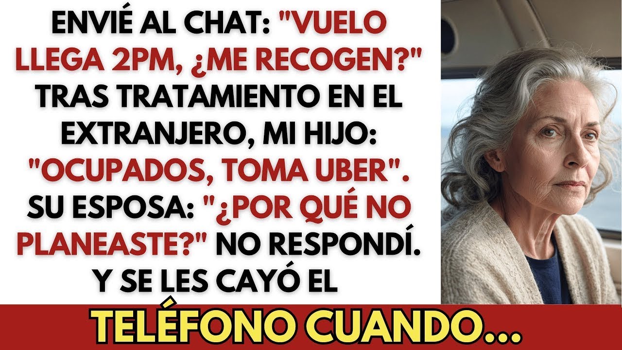 Envié al chat familiar: 
