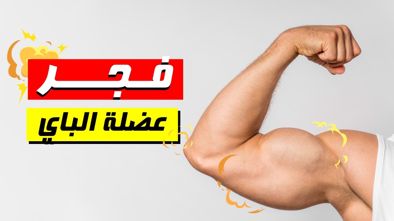 4 تمارين لعضلة البايسبس بدون أوزان 💪🏻 أفضل تمارين الباي بوزن الجسم | فجر عضلة الباي في المنزل