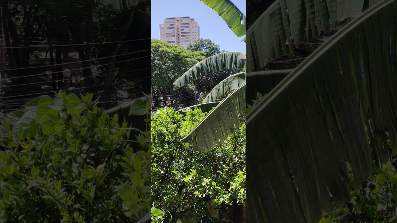 Dia de F&eacute;rias Guarulhos(3)