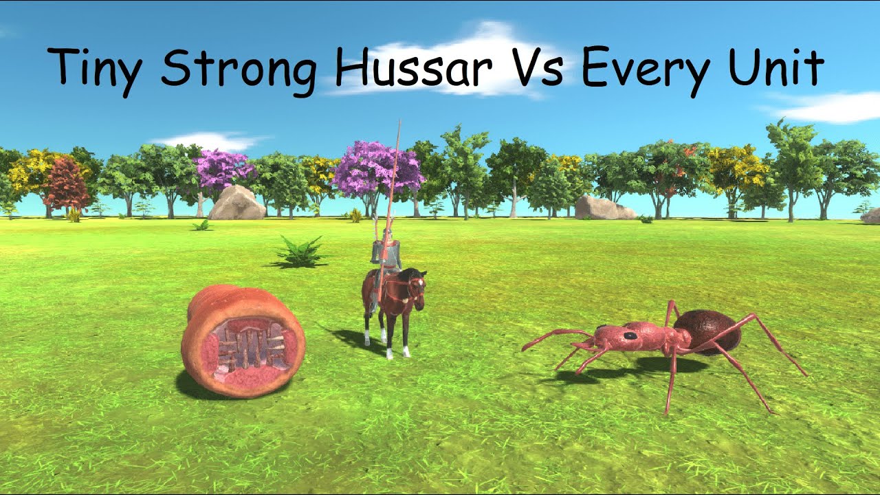 Tiny Strong Hussar Vs Every Unit ARBS |Animal Revolt Battle Simulator