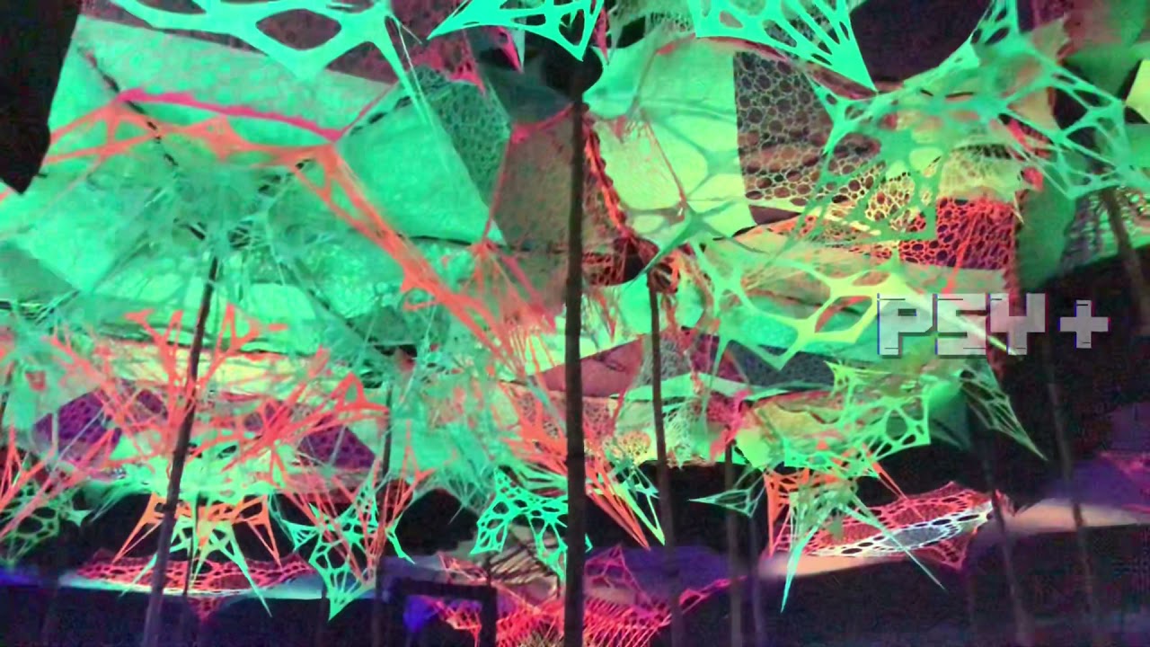 Abertura Spectra Sonics na Árvore da Vida - o dj mais comentado da edição!