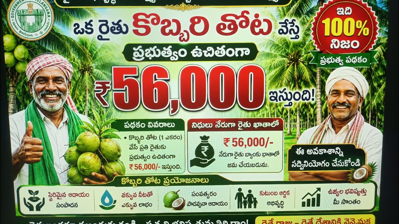Coconut trees subsidy| Coconut development board కొబ్బారి తోటలు