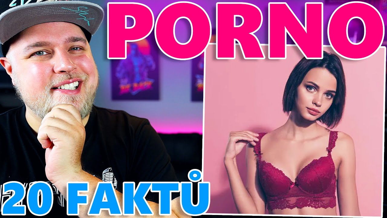 20 FAKTŮ O PORNU