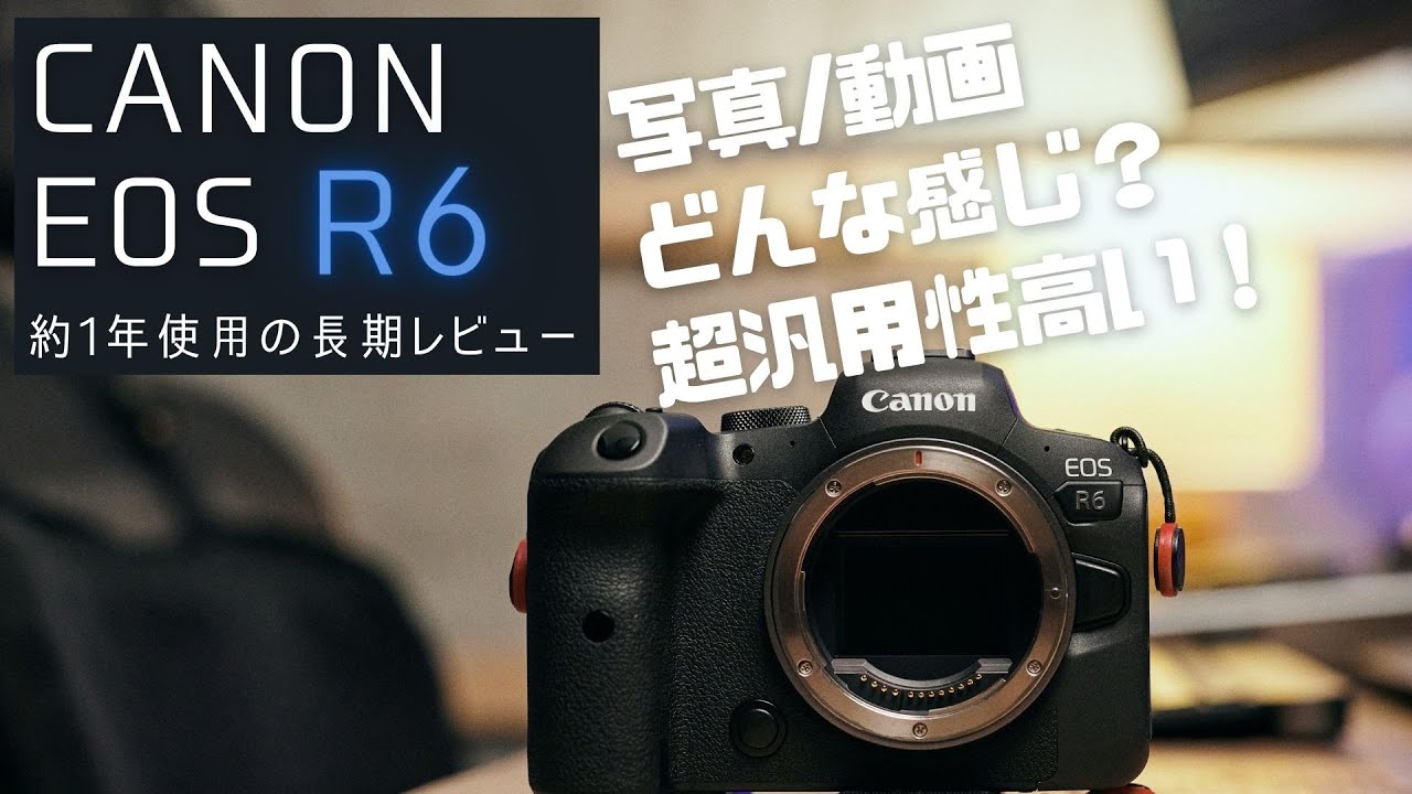 【EOS R6長期レビュー】SONYから乗り換えてEOS R6約一年間仕事にプライベートにと使ってみた感想です（写真の基本性能の高さがすごい）
