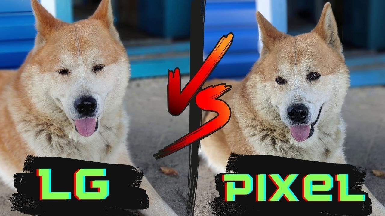 PIXEL 4XL VS  LG V50 ThinQ, фото и видео с Gcam и без, в разных режимах и разных условиях освещения