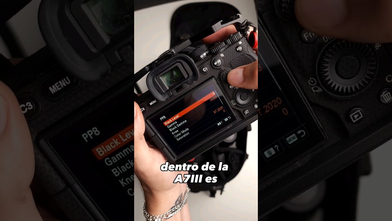 ¡El mejor perfil de color para Sony de 8bits! #A7III #AlphaUniverseLatin #SonyAlpha