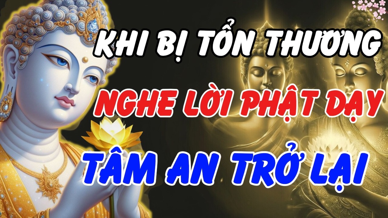 Mệt Mỏi, Tổn Thương, Không Biết Bám Vào Đâu? Nghe Bài Pháp Này Để Tâm An Trở Lại