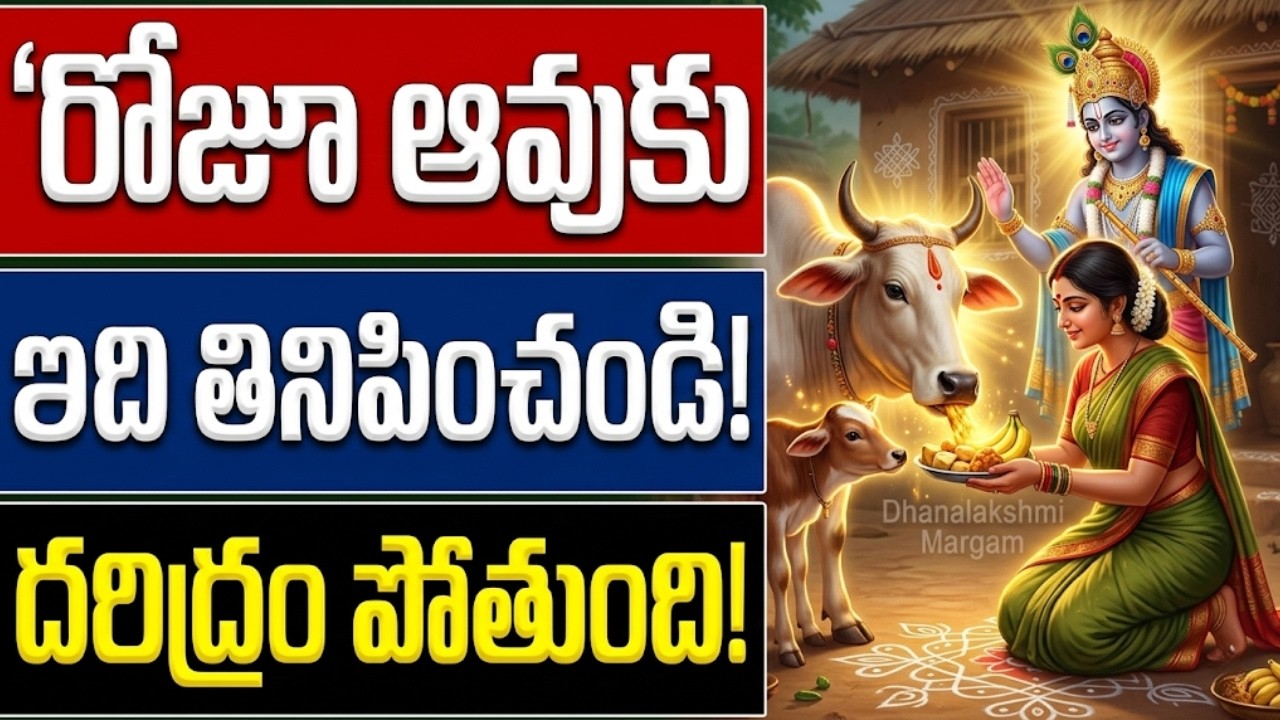 రోజూ ఆవుకు ఇది తినిపించండి చాలు! దరిద్రం పోయి కోటీశ్వరులు అవుతారు! || Sri Krishna Secret for Wealth