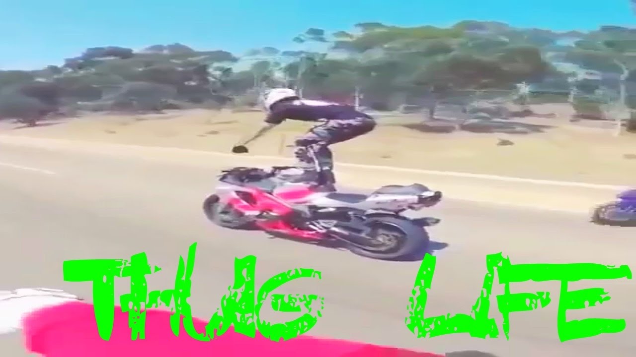 OS REIS DO THUG LIFE | THE KING OF THUG LIFE #11