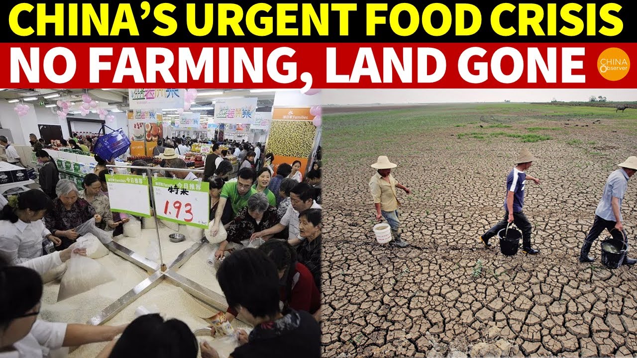 China&rsquo;s Urgent Food Crisis: No One Farms, Farmland Gone, Frequent Disasters, High Import Reliance